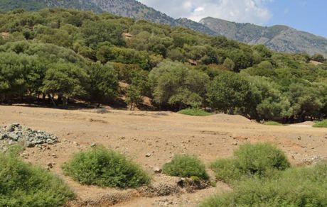 Αγροτεμάχια 39.734τ.μ. για πώληση-Σαμοθράκη » Ρεμπουτσάδικα