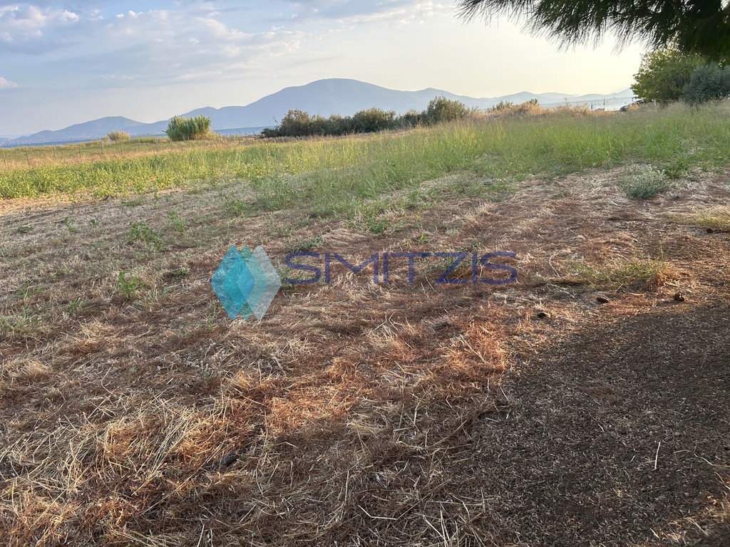 Αγροτεμάχια 4.028 τ.μ. προς πώληση, Πολιτικά