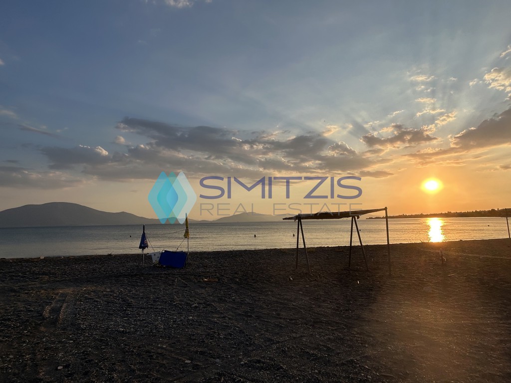 Αγροτεμάχια 4.028 τ.μ. προς πώληση, Πολιτικά