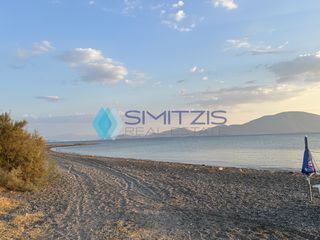 Αγροτεμάχια 4.028 τ.μ. για πώληση