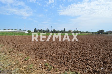 Οικόπεδο 3.400τ.μ. για πώληση-Μηχανιώνα » Αγγελοχώρι