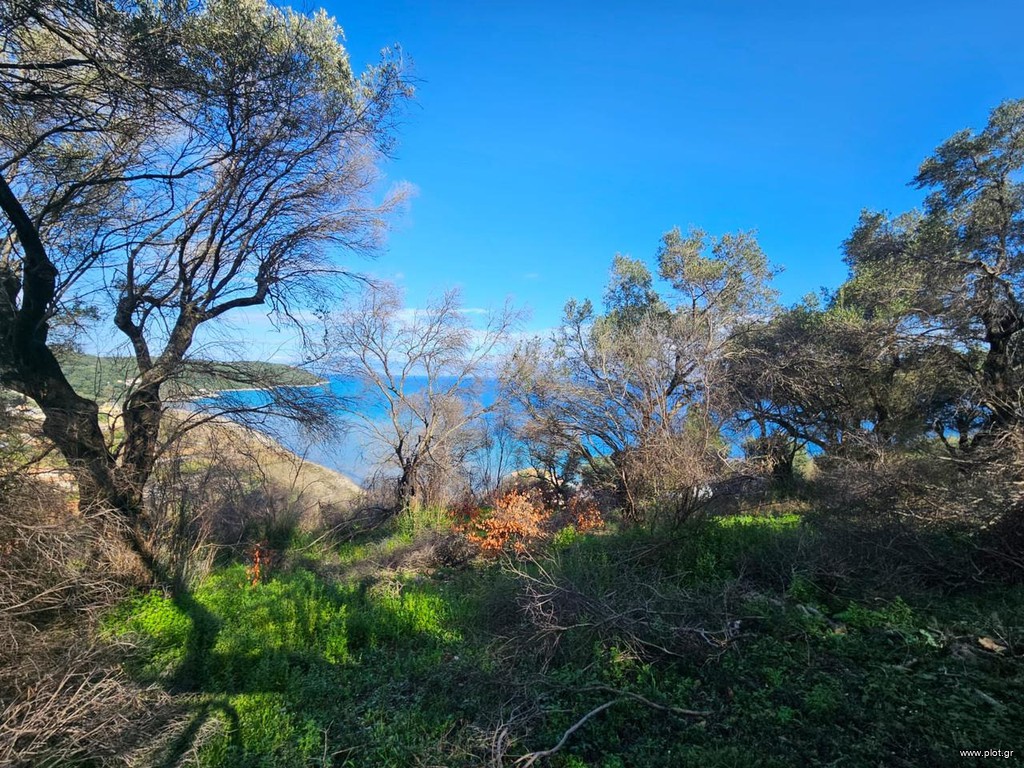 Οικόπεδο 4.300 τ.μ. προς πώληση, Κασσιόπη