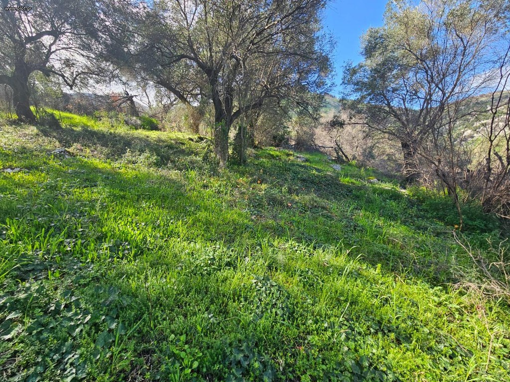 Οικόπεδο 4.300 τ.μ. προς πώληση, Κασσιόπη