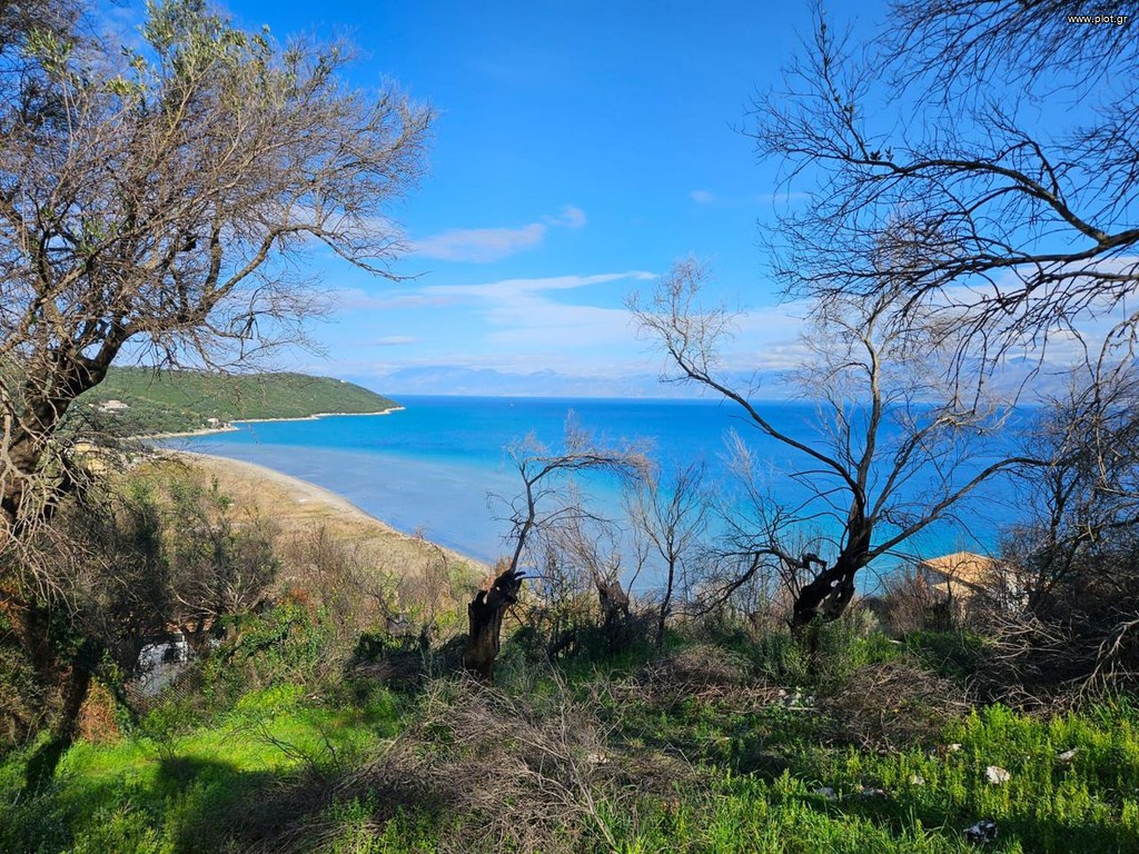 Οικόπεδο 4.300 τ.μ. προς πώληση, Κασσιόπη