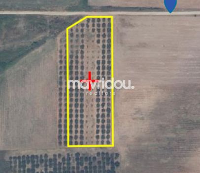 Parcel 7.165 sqm for sale