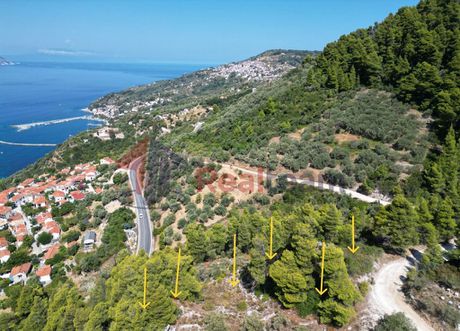 Αγροτεμάχια 5.035τ.μ. για πώληση-Σκόπελος