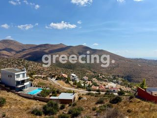 Οικόπεδο 1.300 τ.μ. για πώληση