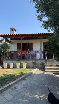 Μονοκατοικία 70τ.μ. για πώληση-Καλλικράτεια » Νέα καλλικράτεια