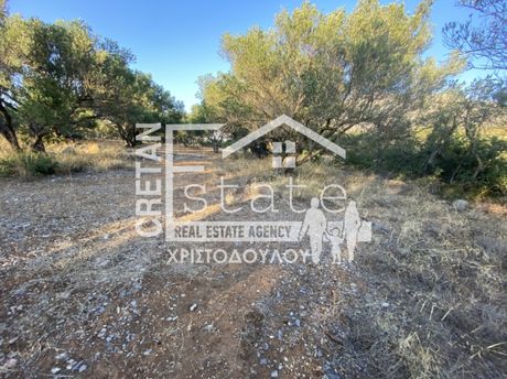 Parcel 2.500sqm for sale-Ierapetra » Episkopi