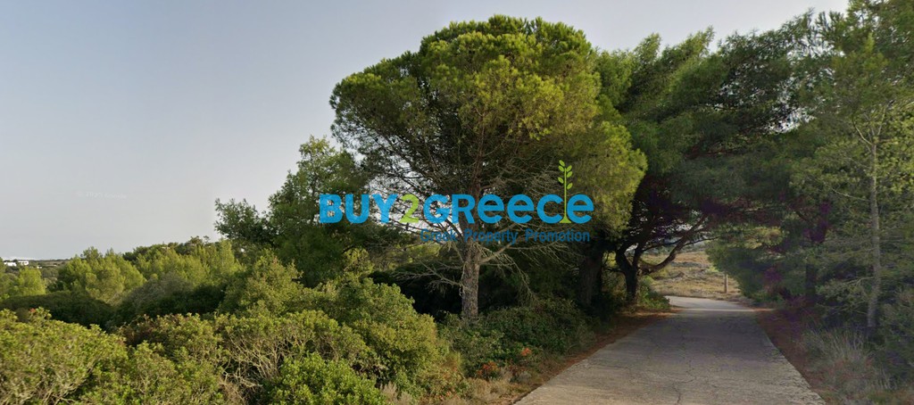 Οικόπεδο 5.778 τ.μ. προς πώληση, Πιτσινιάνικα