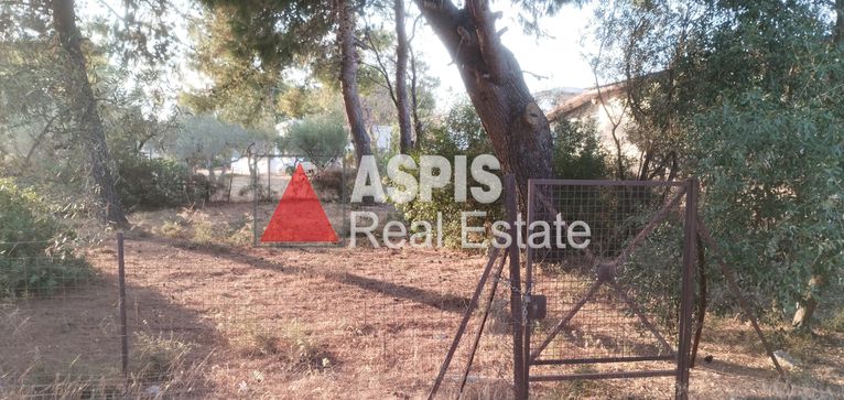 Οικόπεδο 248,95 τ.μ. για πώληση, Αττική - Υπόλοιπο, Ραφήνα
