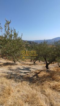 Οικόπεδο 5.820τ.μ. για πώληση-Ηράκλειο κρήτης » Δαφνές