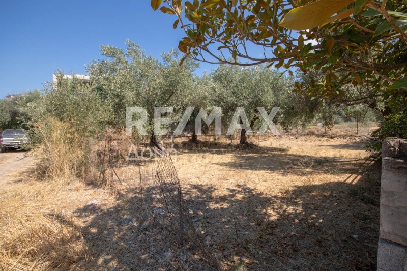 Οικόπεδο 209,41 τ.μ. πρός πώληση, Μαγνησία, Βόλος