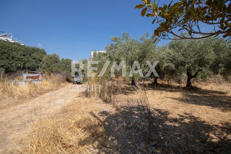 Οικόπεδο 209,41 τ.μ. πρός πώληση, Μαγνησία, Βόλος
