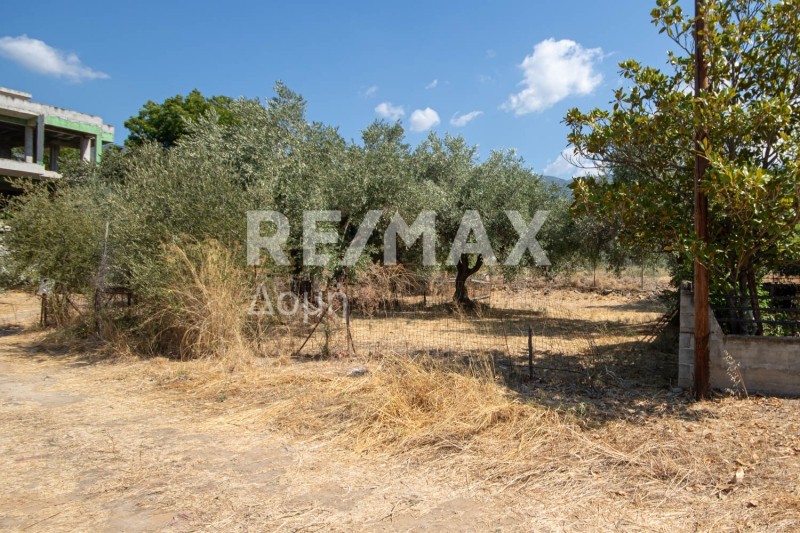 Οικόπεδο 209,41 τ.μ. πρός πώληση, Μαγνησία, Βόλος