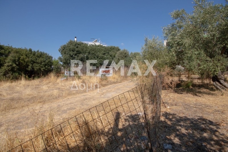 Οικόπεδο 209,41 τ.μ. πρός πώληση, Μαγνησία, Βόλος