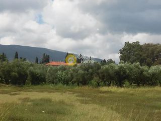 Οικόπεδο 460 τ.μ. για πώληση