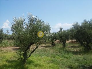 Οικόπεδο 910 τ.μ. για πώληση, Ζάκυνθος, Λαγανάς-thumb-9