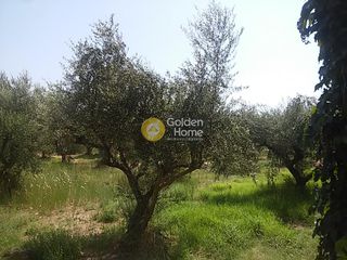 Οικόπεδο 910 τ.μ. για πώληση, Ζάκυνθος, Λαγανάς-thumb-8