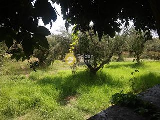 Οικόπεδο 910 τ.μ. για πώληση, Ζάκυνθος, Λαγανάς-thumb-14