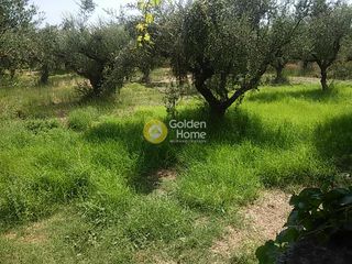 Οικόπεδο 910 τ.μ. για πώληση, Ζάκυνθος, Λαγανάς-thumb-15