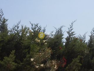 Οικόπεδο 910 τ.μ. για πώληση, Ζάκυνθος, Λαγανάς-thumb-3