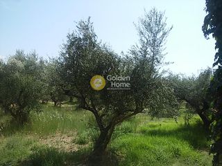 Οικόπεδο 910 τ.μ. για πώληση, Ζάκυνθος, Λαγανάς-thumb-7