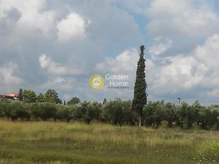 Οικόπεδο 910 τ.μ. για πώληση, Ζάκυνθος, Λαγανάς-thumb-1