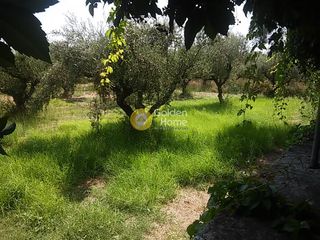 Οικόπεδο 910 τ.μ. για πώληση, Ζάκυνθος, Λαγανάς-thumb-11