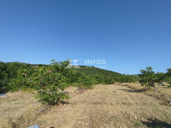 Αγροτεμάχια 8 τ.μ. για πώληση, Ν. Καβάλας, Ορφανό