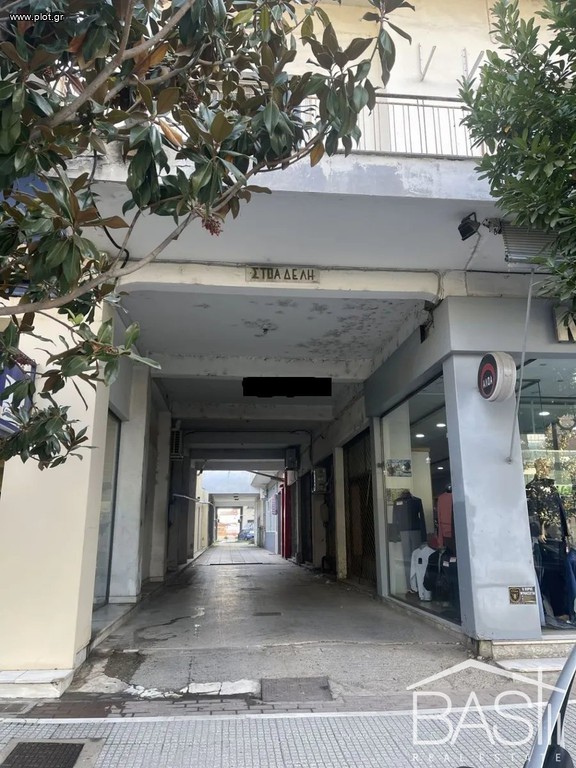Επιχειρηματικό κτίριο 882 τ.μ. πρός πώληση, Ημαθία, Αλεξάνδρεια