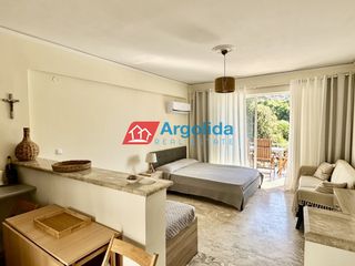 Studio / γκαρσονιέρα 36 τ.μ. για πώληση, Αργολίδα, Ασίνη-thumb-11