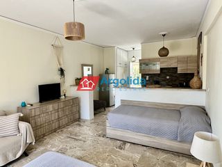 Studio / γκαρσονιέρα 36 τ.μ. για πώληση, Αργολίδα, Ασίνη-thumb-3