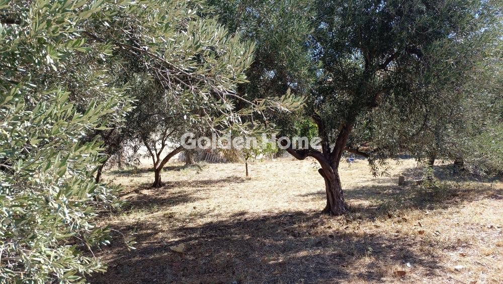 Οικόπεδο 1.400 τ.μ. προς ενοικίαση, Αθήνα - Ανατολικά Προάστια, Γέρακας