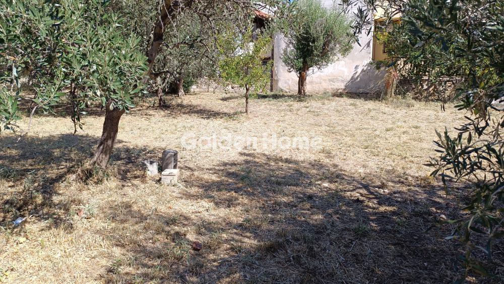 Οικόπεδο 1.400 τ.μ. προς ενοικίαση, Αθήνα - Ανατολικά Προάστια, Γέρακας