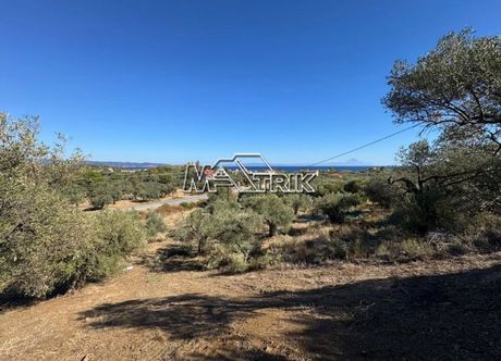 Parcel 1.203sqm for sale-Sithonia » Salonikiou