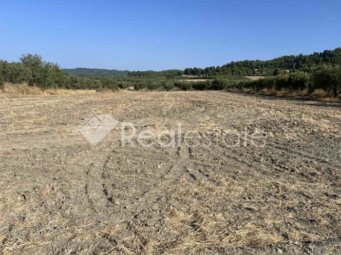 Αγροτεμάχια 4.385 τ.μ. πρός πώληση, Χαλκιδική, Κασσάνδρα