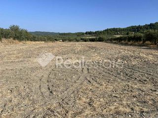 Αγροτεμάχια 4.385 τ.μ. για πώληση
