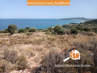 Οικόπεδο 4.496 τ.μ. για πώληση, Ζάκυνθος, Ελάτιο-thumb-2
