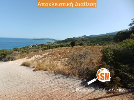 Οικόπεδο 4.496τ.μ. για πώληση-Ελάτιο » Βολίμες