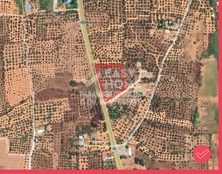 Land plot 6.500sqm for sale-Ario