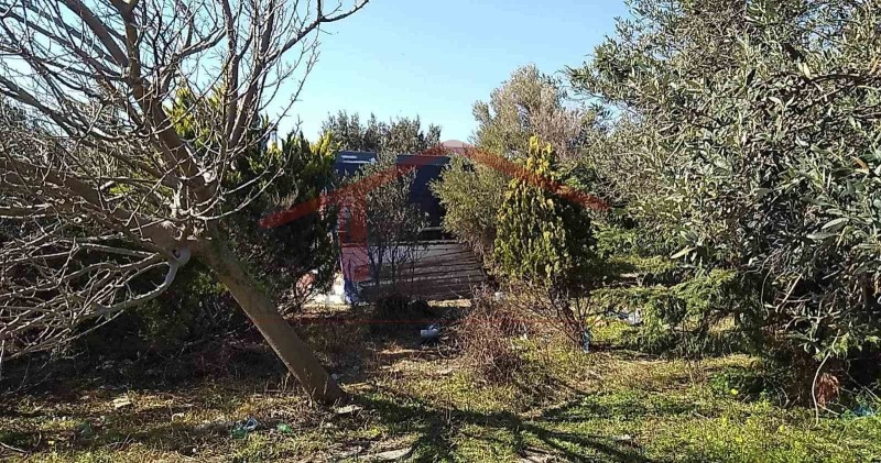 Οικόπεδο 4.000 τ.μ. προς πώληση, Κέντρο Καρύστου