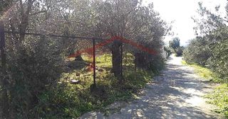 Οικόπεδο 4.000 τ.μ. για πώληση, Εύβοια, Κάρυστος-thumb-8