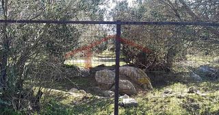 Οικόπεδο 4.000 τ.μ. για πώληση, Εύβοια, Κάρυστος-thumb-11