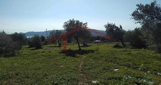 Οικόπεδο 4.000 τ.μ. για πώληση, Εύβοια, Κάρυστος-thumb-7