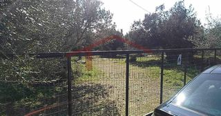 Οικόπεδο 4.000 τ.μ. για πώληση, Εύβοια, Κάρυστος-thumb-10