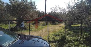 Οικόπεδο 4.000 τ.μ. για πώληση, Εύβοια, Κάρυστος-thumb-9