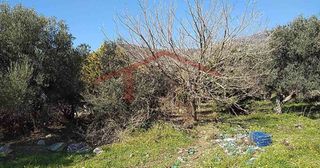Οικόπεδο 4.000 τ.μ. για πώληση, Εύβοια, Κάρυστος-thumb-6