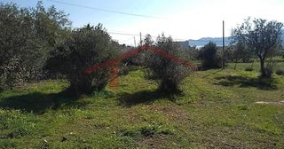 Οικόπεδο 4.000 τ.μ. για πώληση, Εύβοια, Κάρυστος-thumb-1