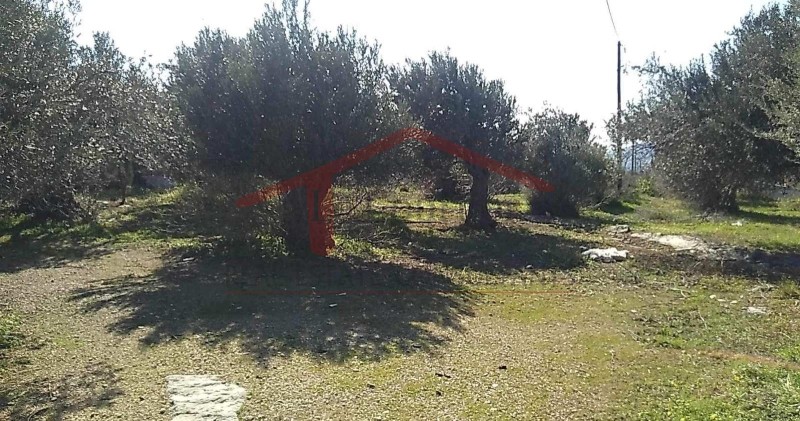 Οικόπεδο 4.000 τ.μ. προς πώληση, Κέντρο Καρύστου